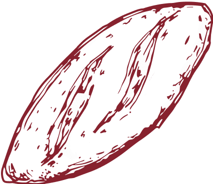Espelta Integral