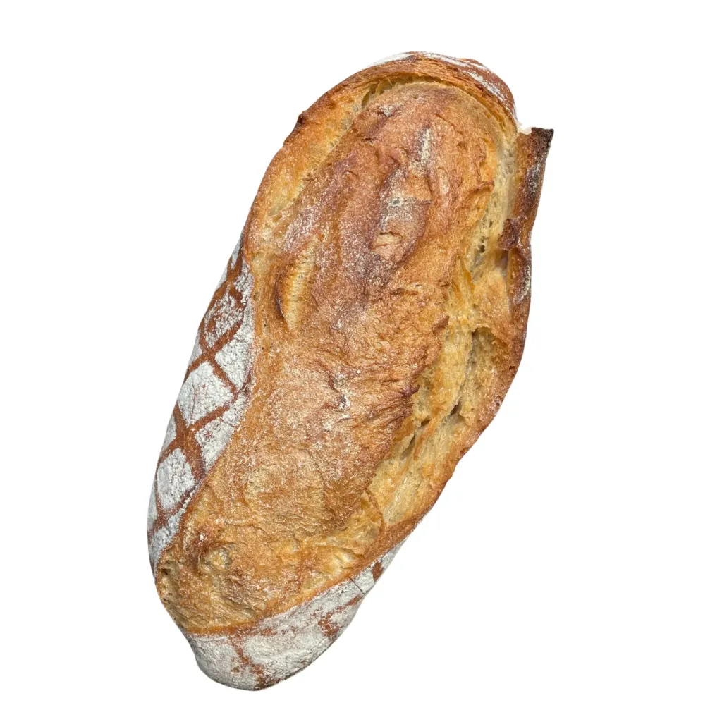 [PA-NUT-035] MONOCOCUM